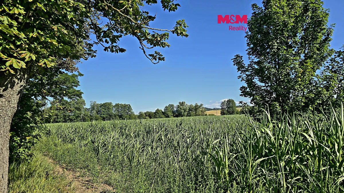 Prodej pole 31359 m²
